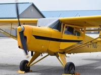 CF-NQC