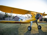 N75441