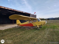 N84067