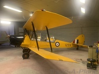CF-CSJ