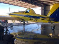 N115AA
