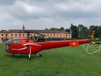N2304P