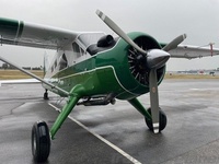 N61DM