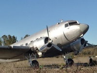 N25646