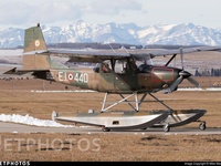 N774DW