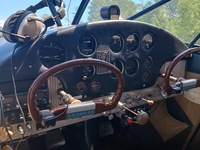 N243C