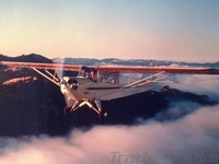 N48866