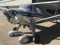 N1104K