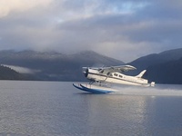 C-FIAX