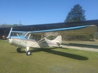 N85173