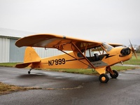N7999