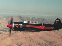 N2124X