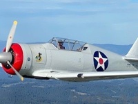 N50MQ