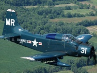 N62466
