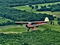 N44208