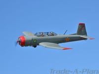 N29NL