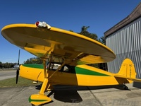 N16902